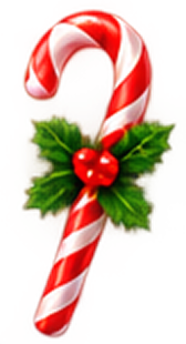 Pine Cone